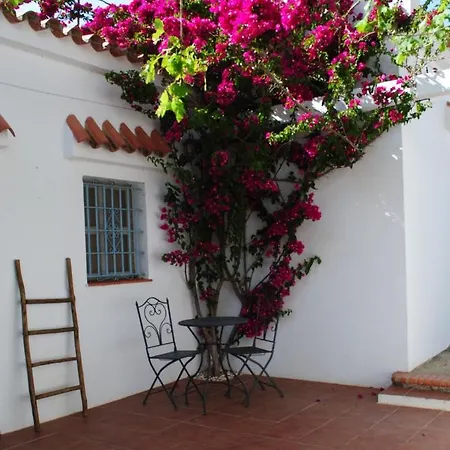 Apartment Cadiz - Ganesha Acogedor En Chiclana De La Frontera, Espana Chiclana de la Frontera